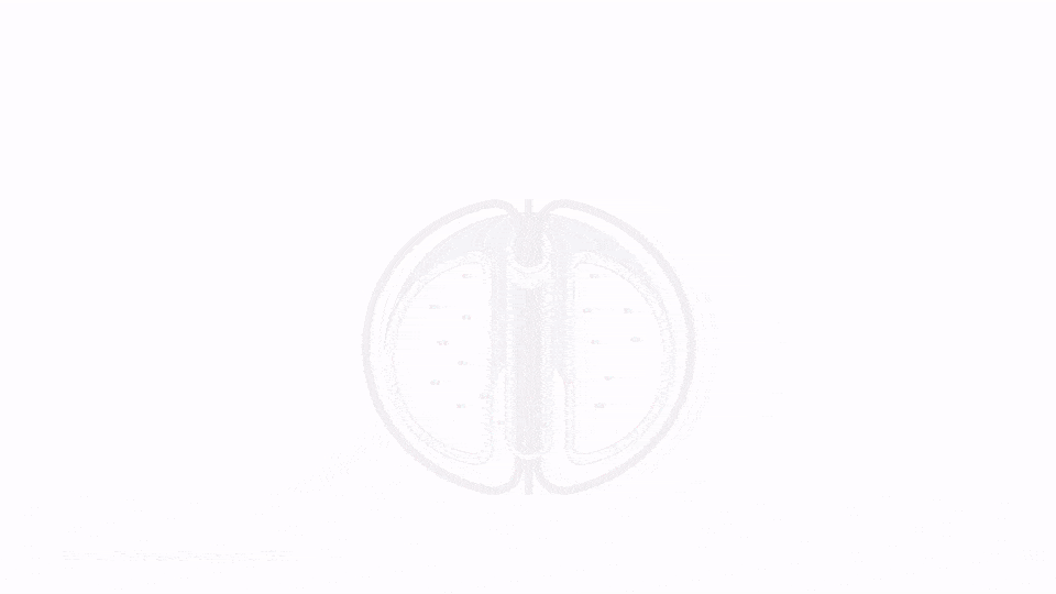 賭馬:可控核聚變新裡程碑:AI成功預測等離子躰撕裂