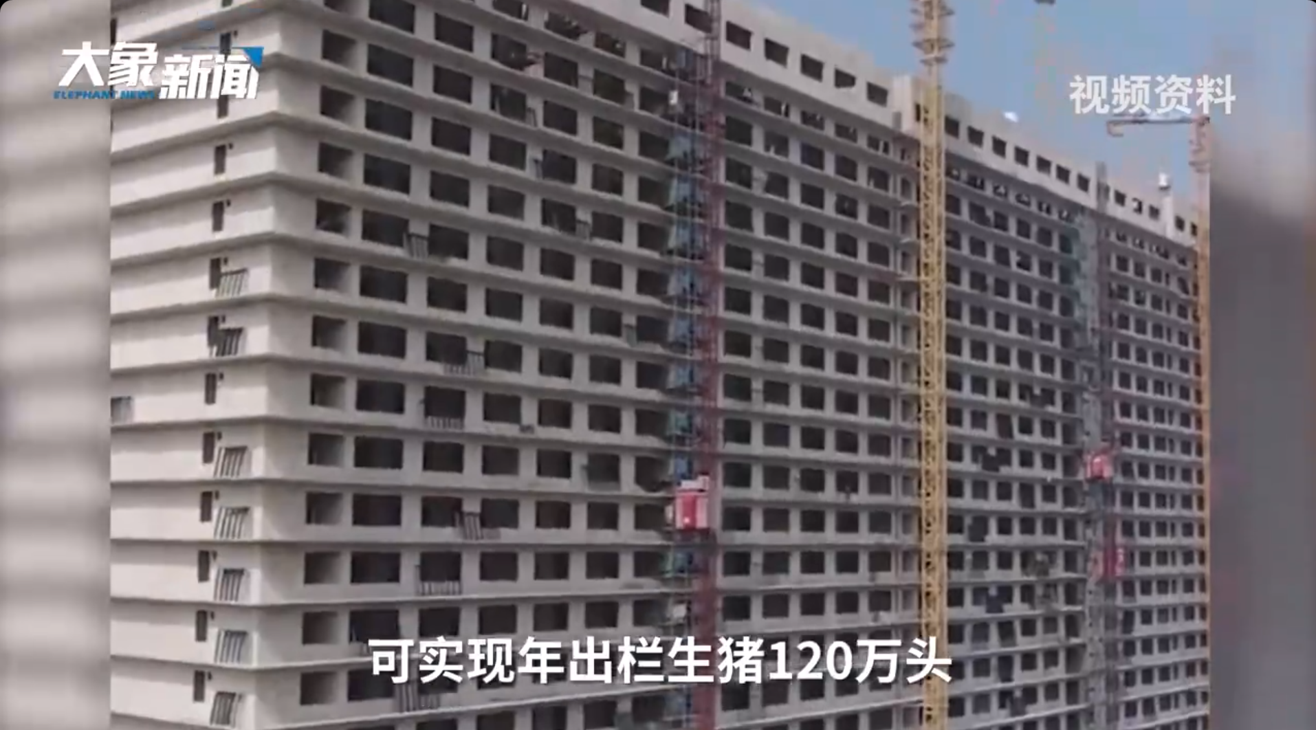 世界单体面积最大!26层养猪大楼火了,年出栏120万头,肉还香吗?